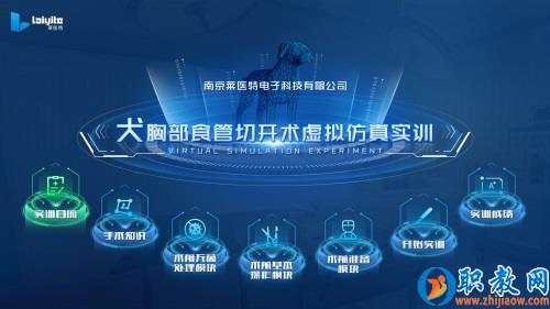 动物手术虚拟仿真实训教学系统,解决畜牧兽医人才培养难题 动物手术虚拟仿真实训教学系统,解决畜牧兽医人才培养难题