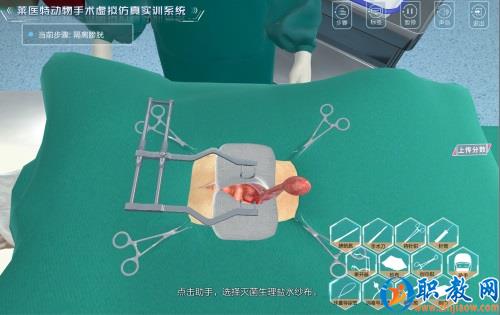 图片 3 图片 3