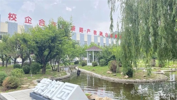 图片 4 图片 4
